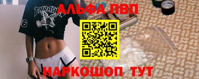 крисы Моздок