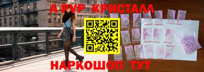 крисы Моздок