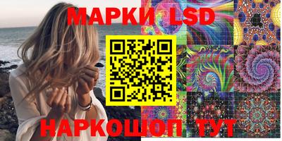 крисы Моздок