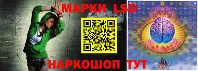 крисы Моздок