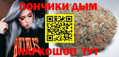крисы Моздок