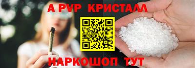 крисы Моздок