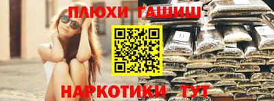 крисы Моздок
