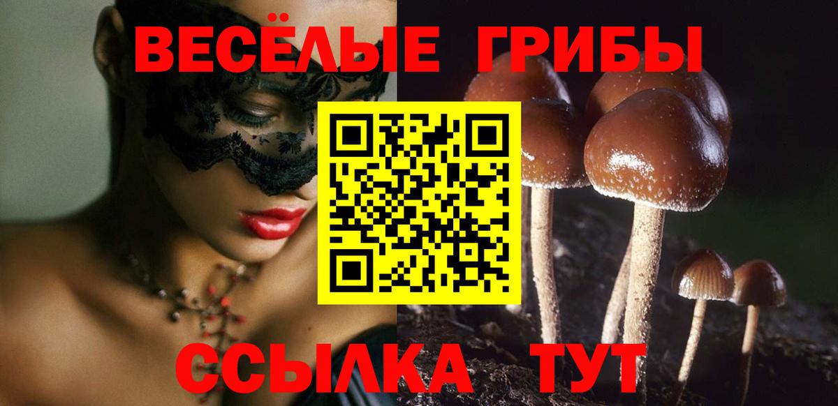 Псилоцибиновые грибы прущие грибы  Вход с VPN  Ялуторовск  Галлюциногенные грибы Cubensis 